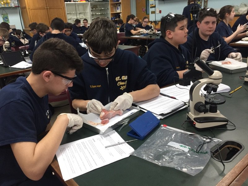 stclaresi's tweet image. #scsscience