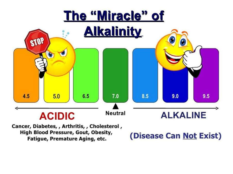DocBastard's tweet photo. Disease cannot exist in an alkaline body because that body is DEAD.

Anything that promises a "miracle" is guaranteed fraud. https://t.co/sw7aL6mVTk