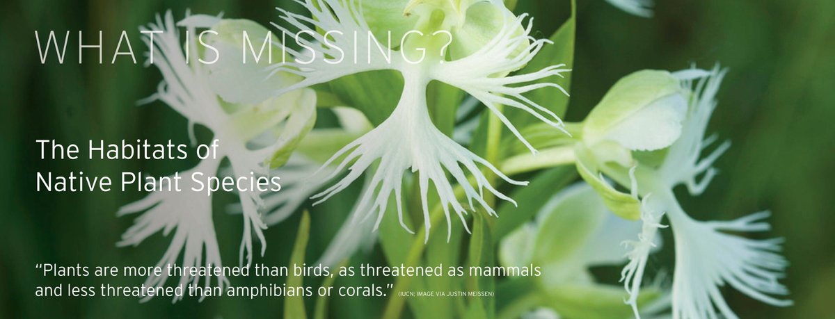 What Is Missing? tweet media