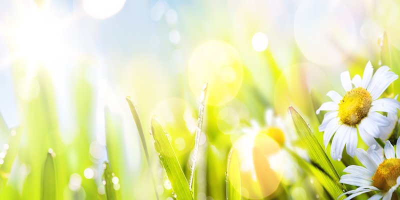 TrinityBizServ's tweet image. Get ahead on your spring cleaning! Choose Trinity for a contract or one-time job! Learn more about our services: trinityservices.com/commercial-cle…