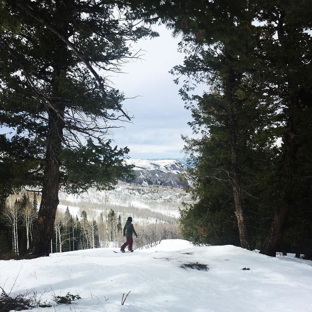 Cutting through the trees #snowmassmountain ift.tt/2n7qpMu