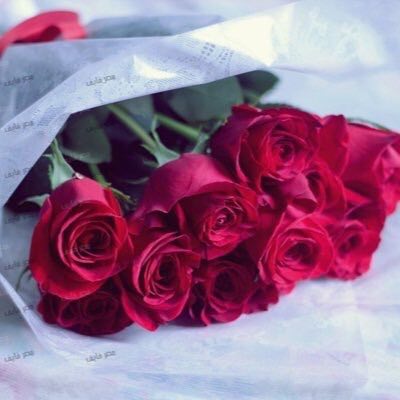 ادري تتابع وادري تشووف وتغار
وادري انكك ل جديدي..مندفع

وانا اتعمد لاجل تشعل بكك النار
يرتاح بالي ..يووم ضغطكك يرتفع