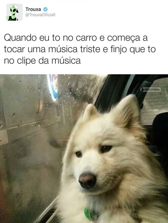 igorwalker (@steveuniver) on Twitter photo 