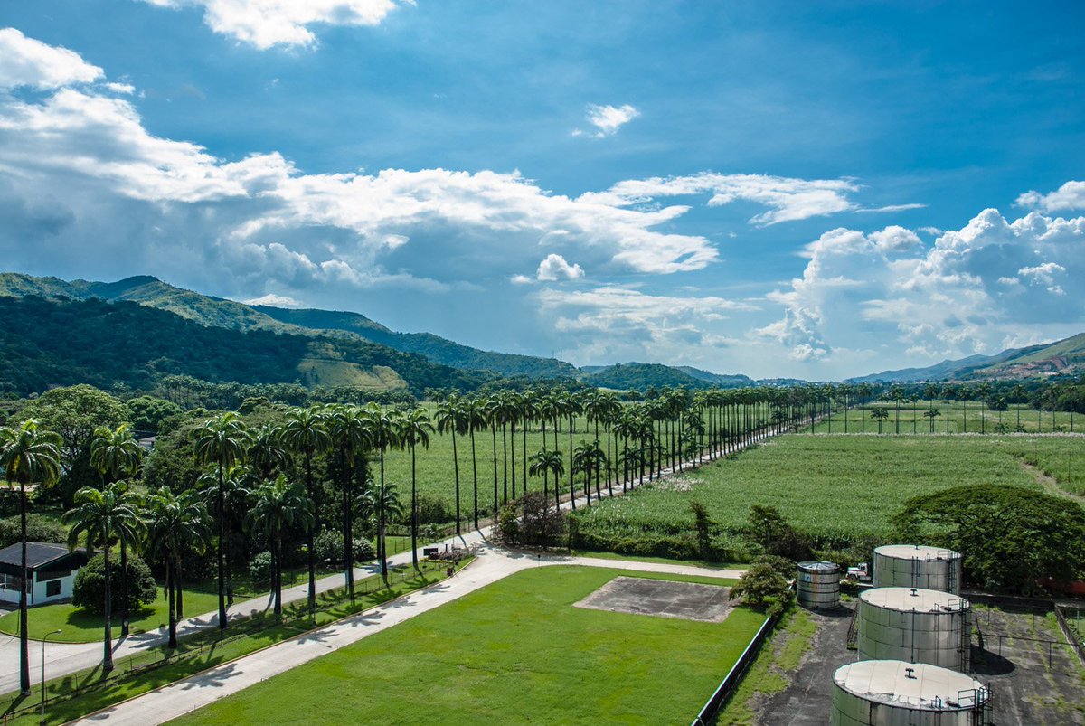 We really couldn't ask for a better office.
#SantaTeresaRum