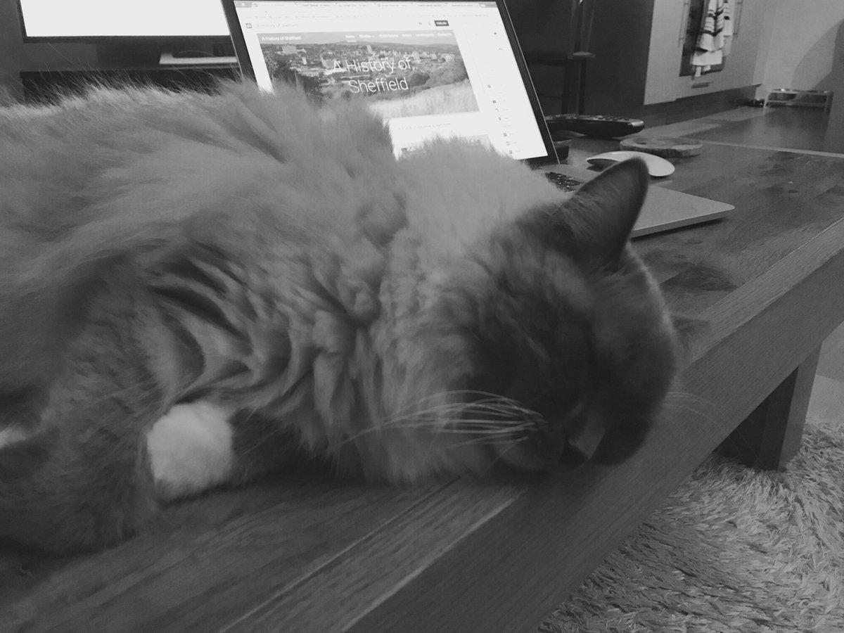 JamesPearson_ tweet media