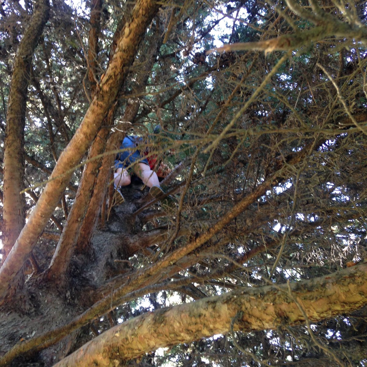 sharebear64's tweet photo. @thegeojunkie the view from below at 2 Taryam Two in S.F. https://t.co/j8ph2WNUMi