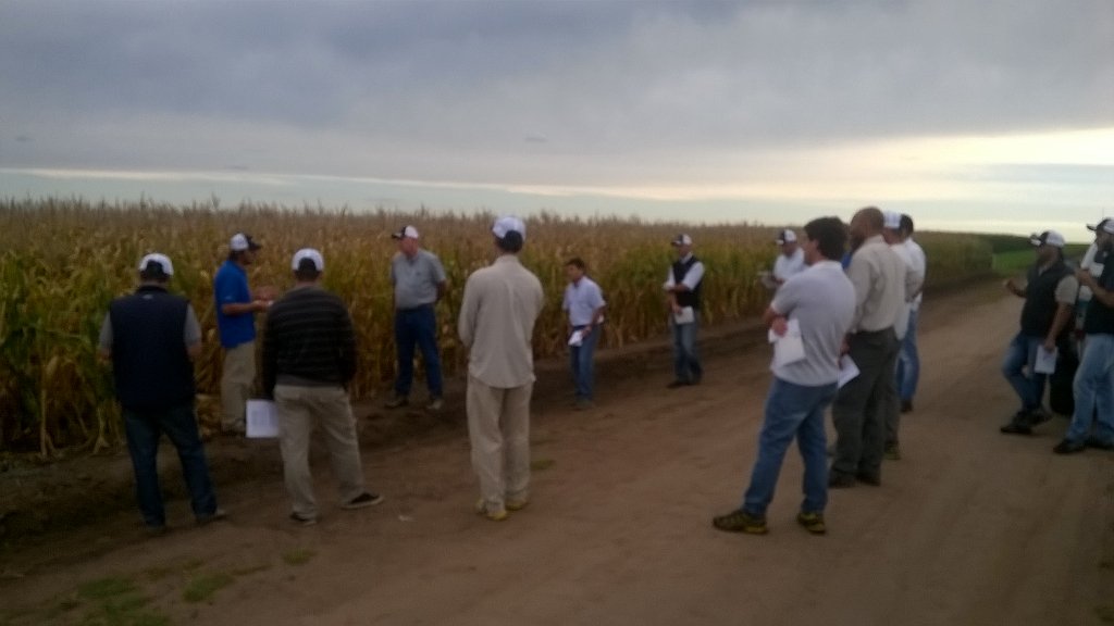 JuanICuirolo's tweet photo. Recorrida con distribuidores lote Expo Syngenta Rojas. #Syn875Vip3 #Syn5x1 https://t.co/fPimQd2n3X