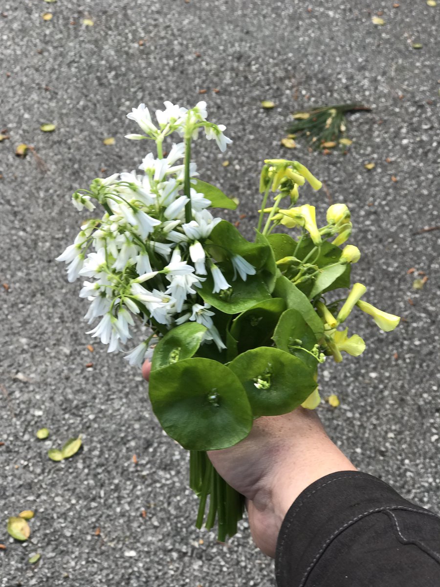 Michelle loves getting flowers !