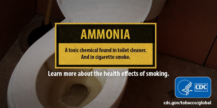 ammonia in tobacco Tobacco #smoke is a toxic mix of more than 7,000 chemicals, including  ammonia. What's in your #lungs?