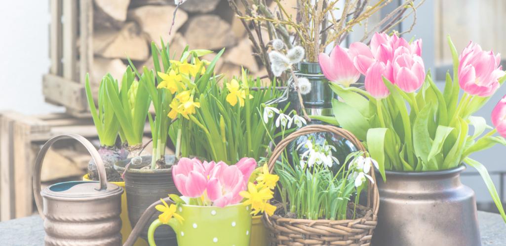Webtrend's tweet photo. Tips for marketing the small holidays of Q1 via @zembulations https://t.co/9QvpZqLtz4 #Superbowl #AprilFools #ContentMarketing https://t.co/lnuKhwayoB