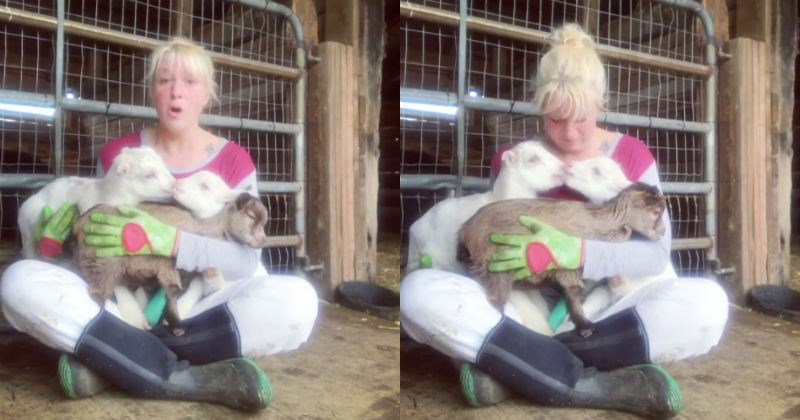 This Hilarious Song About Goats Will Make Every Animal Lover Say "Me" bit.ly/2mNvkG5