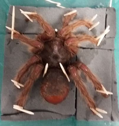 We used some high-tech equipment - wooden toothpicks (!) to hold the specimen in place rather than metal pins to prevent sparks <a href="/NHM/">New Hope Middle</a>-London