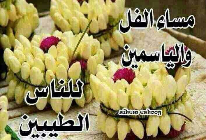حمودي tweet media