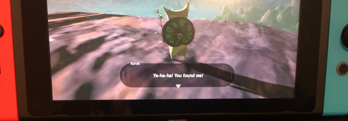 thegreatcotera's tweet photo. Finally! #korok #BoTW #korokseeds https://t.co/XhROjmZPcG