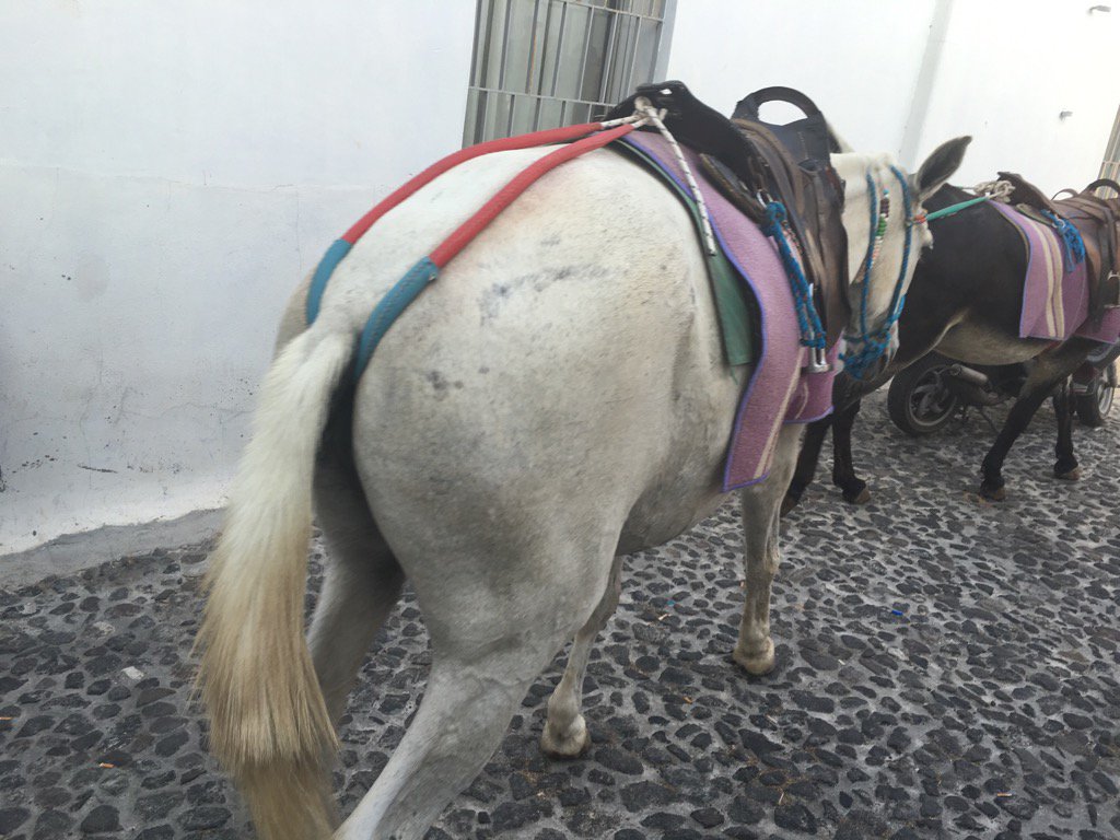 Local transport after Brexit