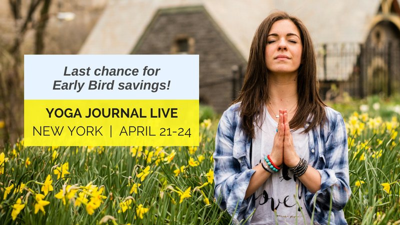 Yoga Journal Events tweet media