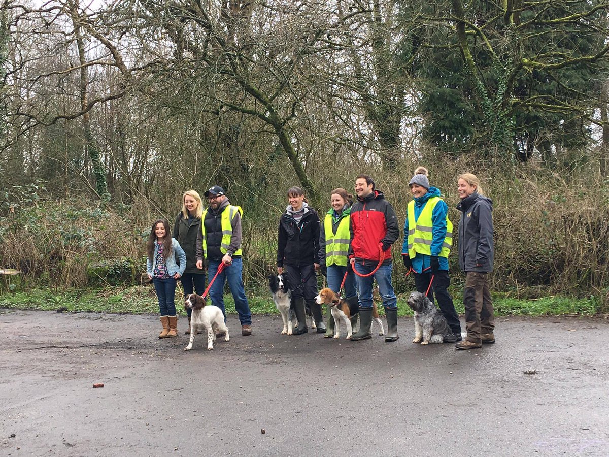 Hayal Erdem tweet media