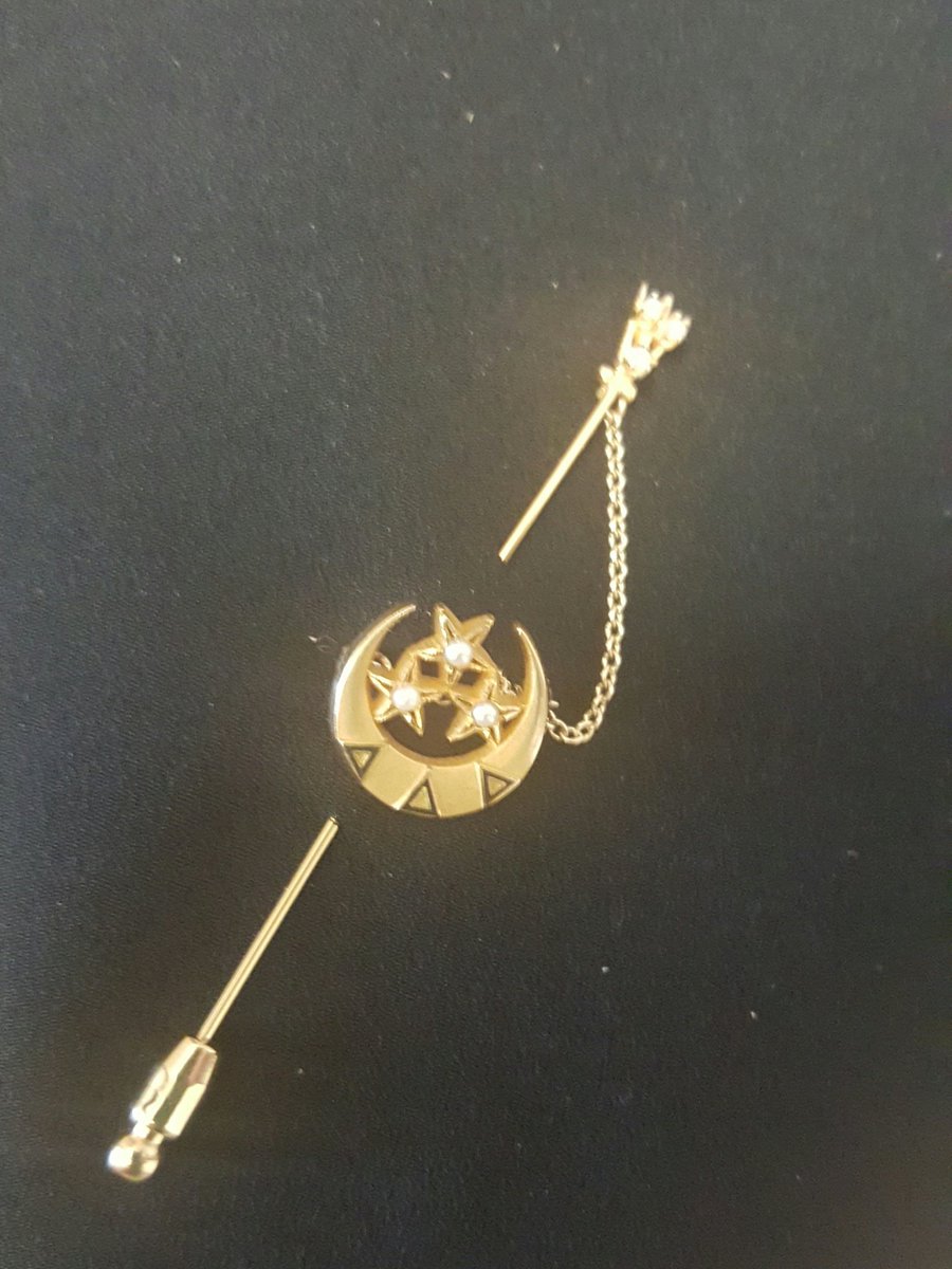 TriDeltaUT's tweet image. National badge day wearing my badge with honor. #badgeday17  @tridelta #ITB