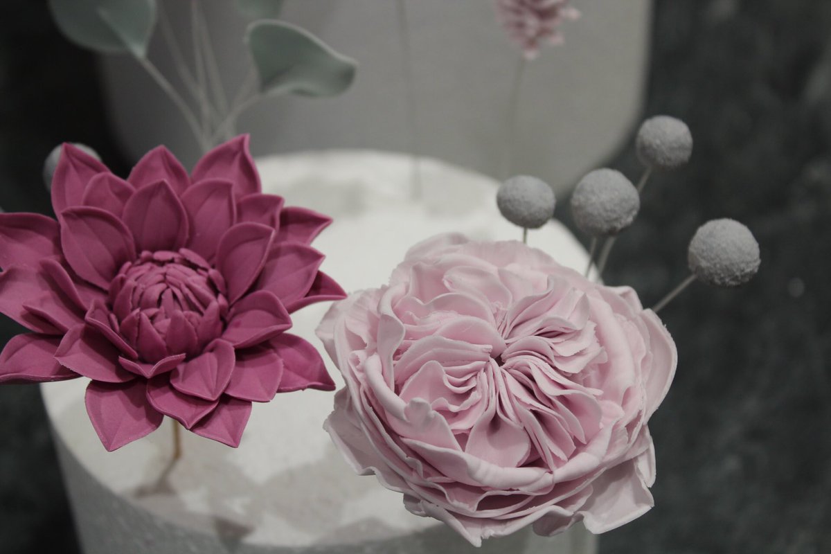 Designer Cake Co tweet media