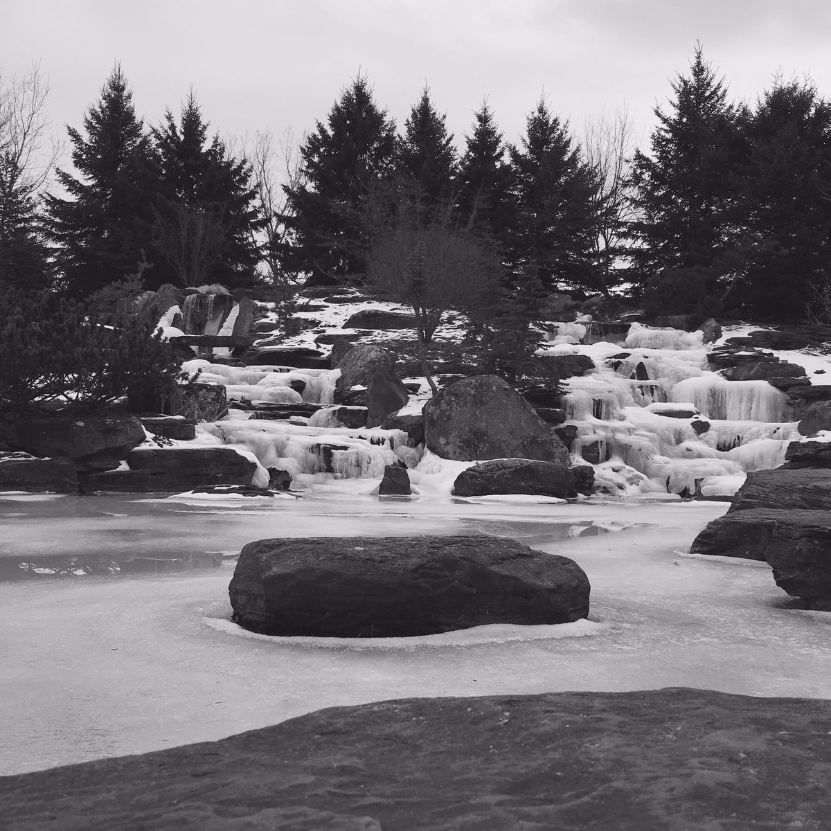 PureMichigan's tweet photo. The @MeijerGardens provides a tranquil scene on a fun-filled #PureMichiganSnowDay. https://t.co/3lesVDNSlB