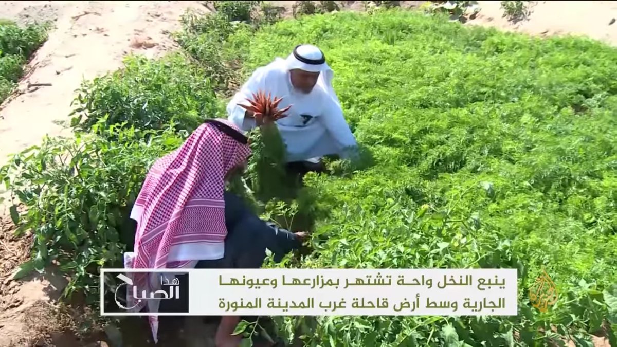 n10ayf's tweet photo. قناة #الجزيرة عبر هذا الصباح تقدم تقرير عن
عيون #ينبع_النخل للمشاهدة اضغط الرابط التالي 👇
https://t.co/Ls12WOSQVO https://t.co/qEwgZCSYxC