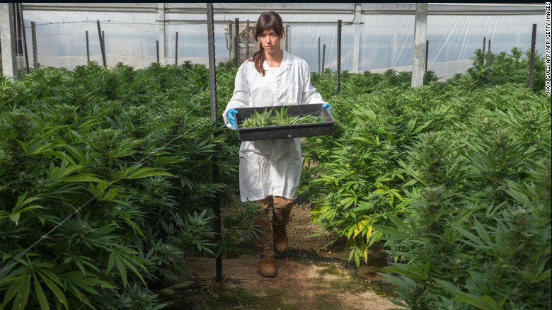 CNN's tweet image. Israel makes it official: The recreational use of marijuana is not a crime cnn.it/2lUbmoR