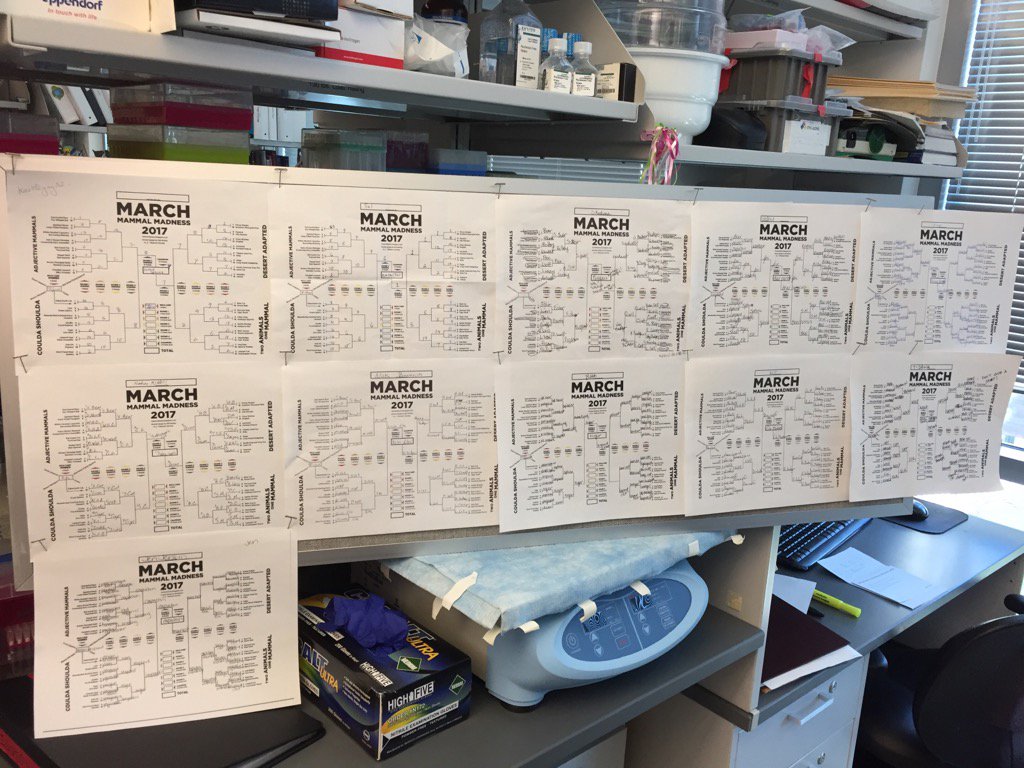 NeBanovich's tweet photo. Pretty good #2017MMM participation from the @whendrickslab @TGen. https://t.co/YA7kXBeylR