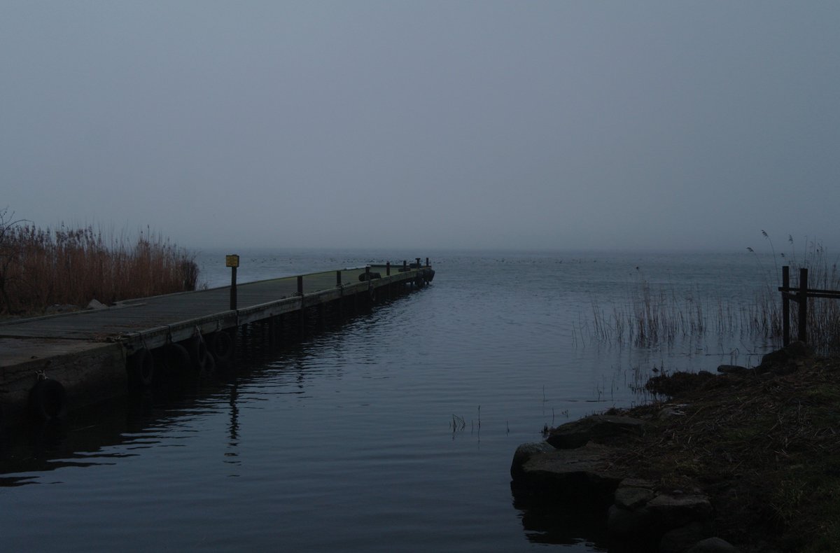 WikingerArt's tweet image. 