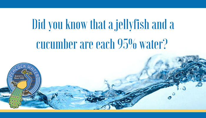 PeacockWaterOH's tweet image. Did you know? #WaterFAQ #PeacockWater