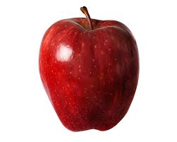 john_patalano's tweet photo. Un buen momento de la clase de español fue cuando mi cartel de la manzana era mejor que Ethan's. #pvrhsdwl #Farrell71617 https://t.co/rS8UbDWDBZ