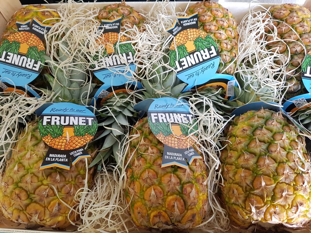 FrutasMora's tweet photo. ¡Cómo se nota el dulce olor de las #Piñas Frunet!
Como sabes, son maduradas en el árbol ;)
#FrutasMoraEspartinas #Sevilla #Frunet https://t.co/LgyWDzQdxg