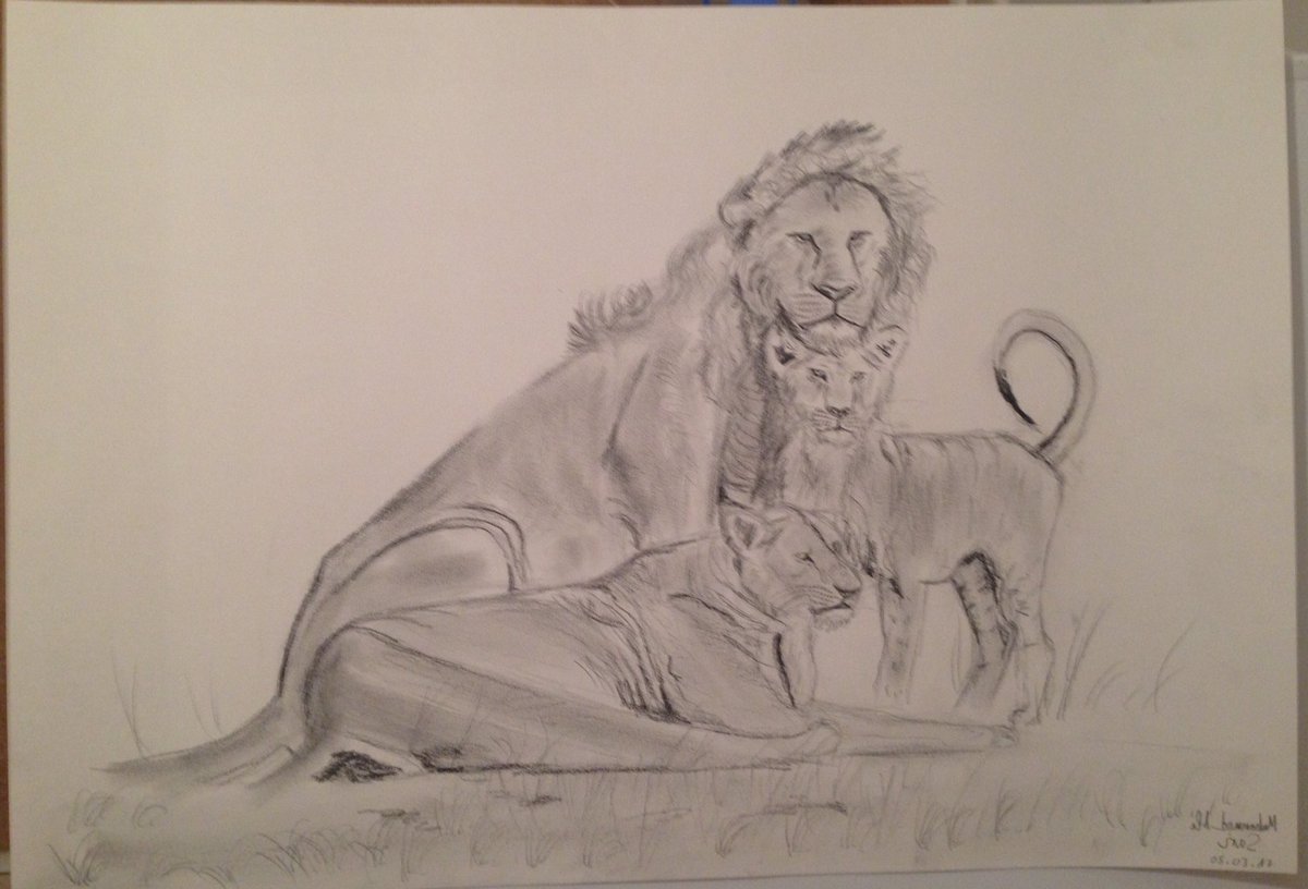 sari_ARTs's tweet photo. ✨😍✨😍aktuell drawing from Sari today :the lions family  😍 https://t.co/GIDRBHcp2M