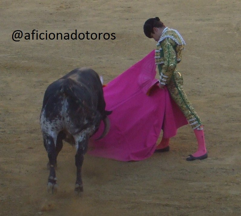 aficionadotoros's tweet photo. @aarontoroos con un eral de Vicente Ruiz. Bargas 2016 https://t.co/mwXjxzUoDd
