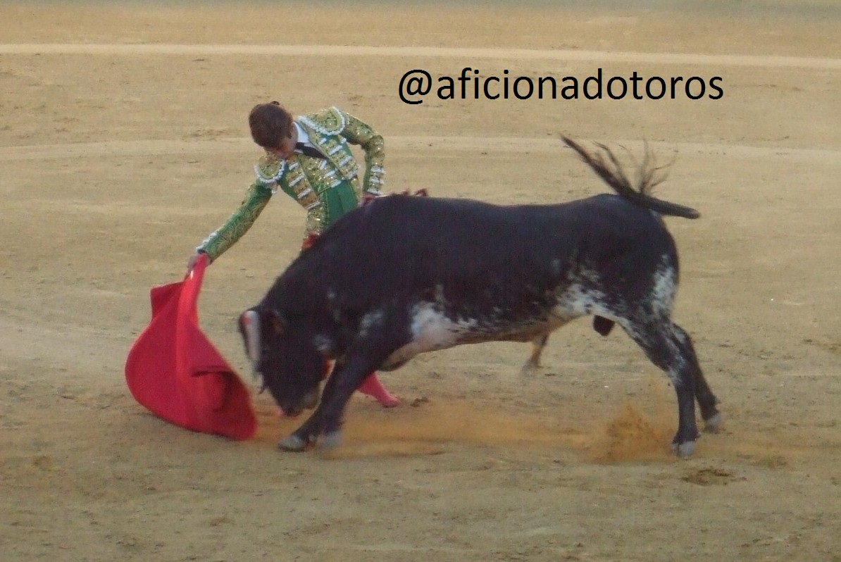 aficionadotoros's tweet photo. @aarontoroos con un eral de Vicente Ruiz. Bargas 2016 https://t.co/mwXjxzUoDd