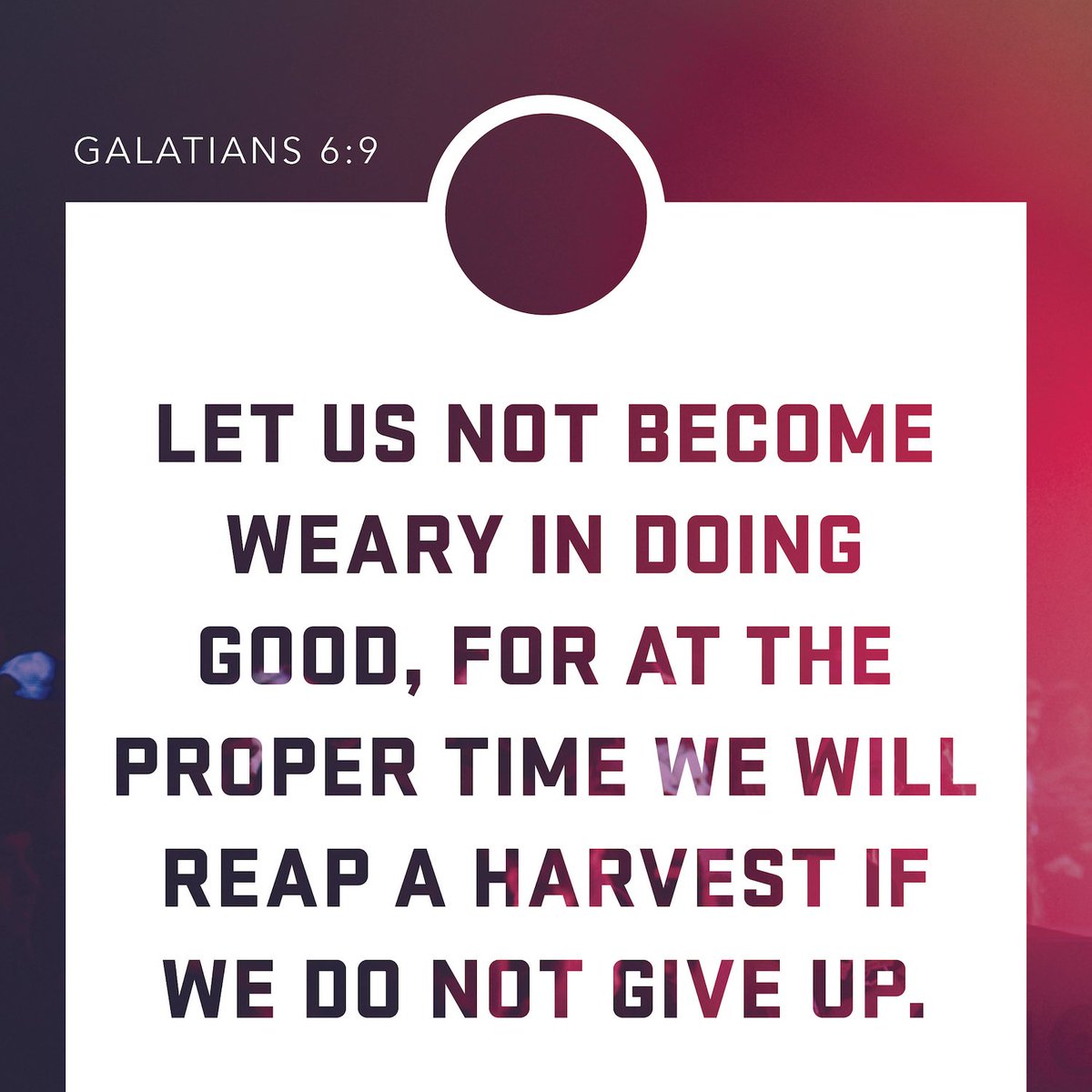 Highlands Students tweet media