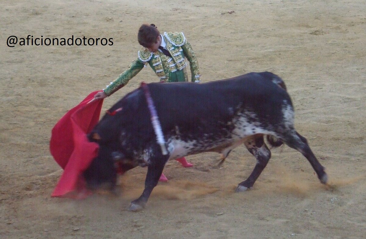 aficionadotoros's tweet photo. @aarontoroos con un eral de Vicente Ruiz. Bargas 2016 https://t.co/mwXjxzUoDd