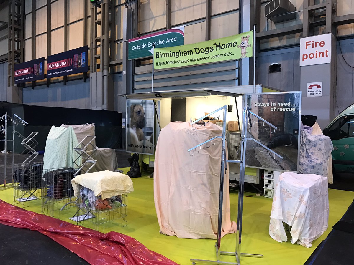 BhamDogsHome's tweet photo. #crufts2017 setting up has started!!! Come down to Hall 5 stand 160 for lots of amazing goodies for your best friends. #helpdogsinneed #BDH https://t.co/I11BHEmph4
