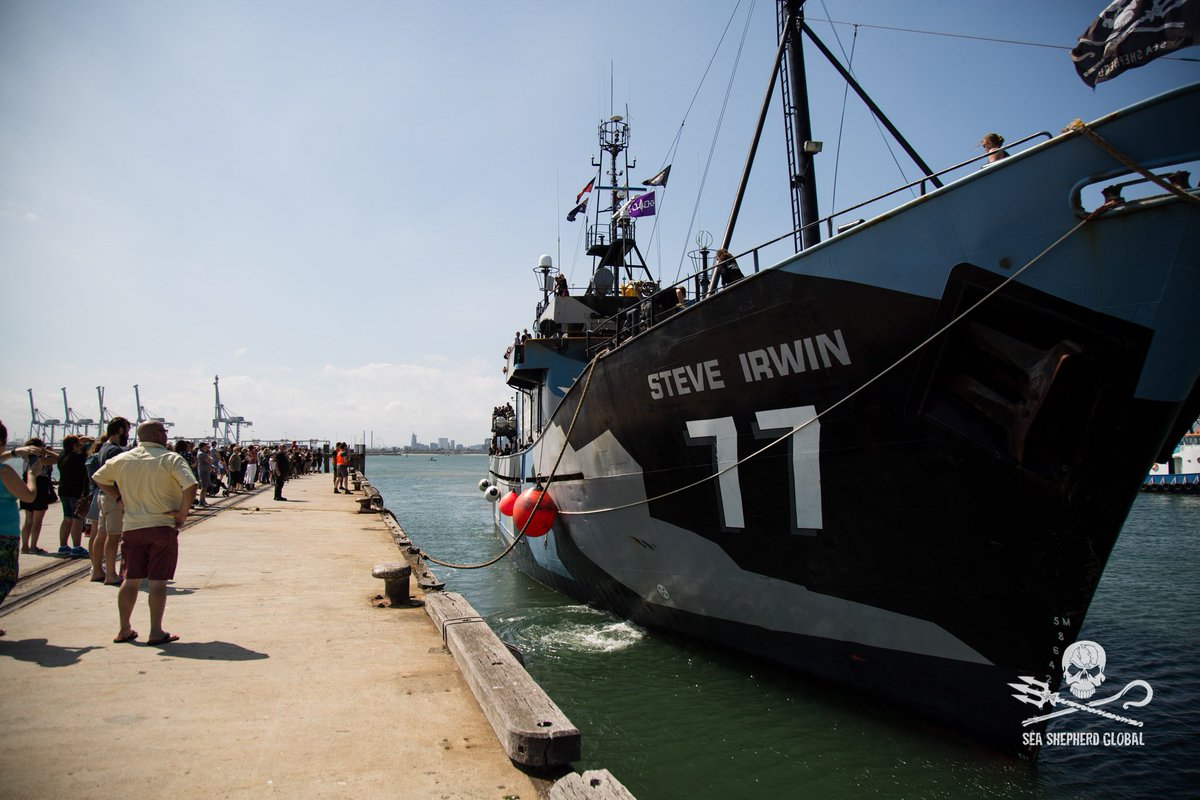MYSteveIrwin's tweet photo. Yesterday we arrived safely back alongside in Williamstown, Australia. Thank you for all your support! #SeaShepherd #OpNemesis https://t.co/S3NfCWOl3i