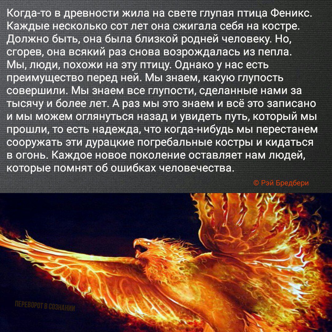 Птица феникс в жизни