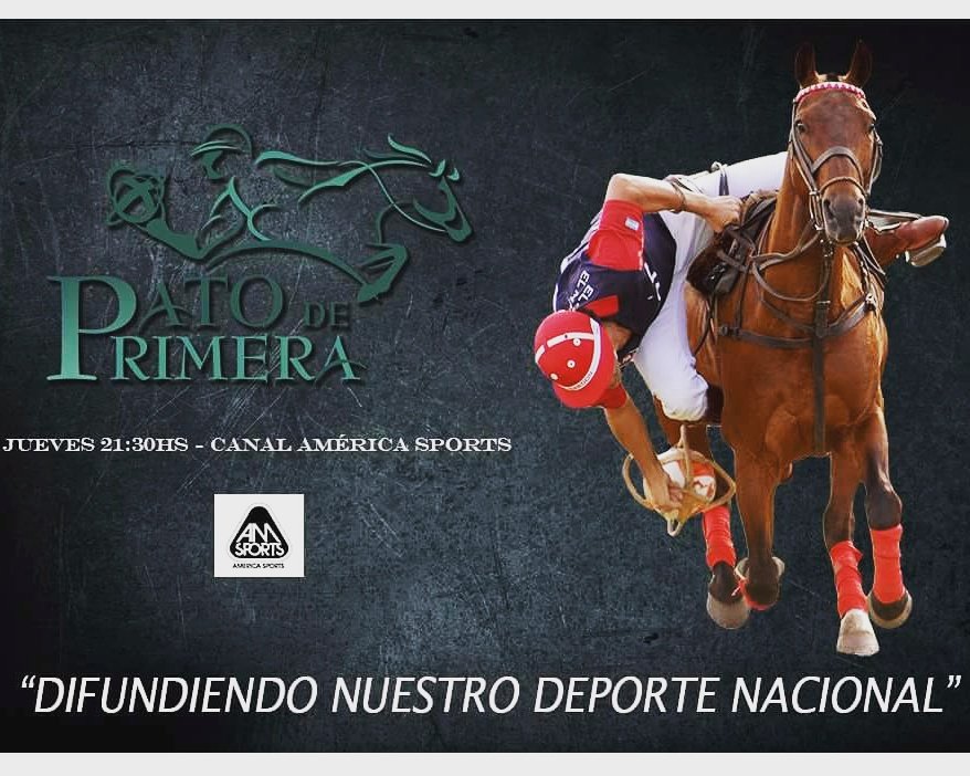 PatodePrimeraTV's tweet photo. El deporte nacional tiene su espacio en TV. Conocelo, jueves 21:30hs por @AmericaSportsTV https://t.co/yVBU5WnmDE