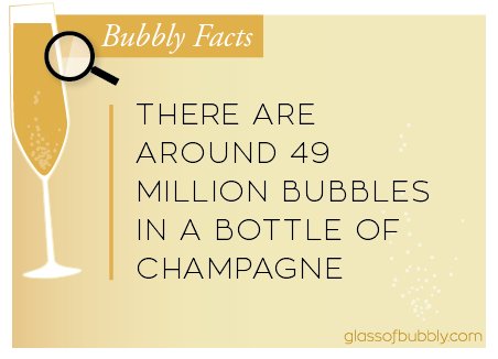 There are around 49 million bubbles in a bottle of #Champagne #fact