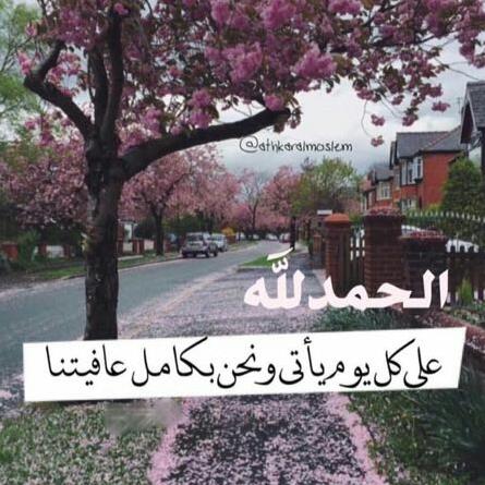 هذه هي الحياة شئت أم أبيت، لن تكبر دون أن تتألم و لن تتعلم دون أن تخطئ، و لن تنجح دون أن تفشل و لن تحب دون أن تفقد #قروب_الليوث_للدعم