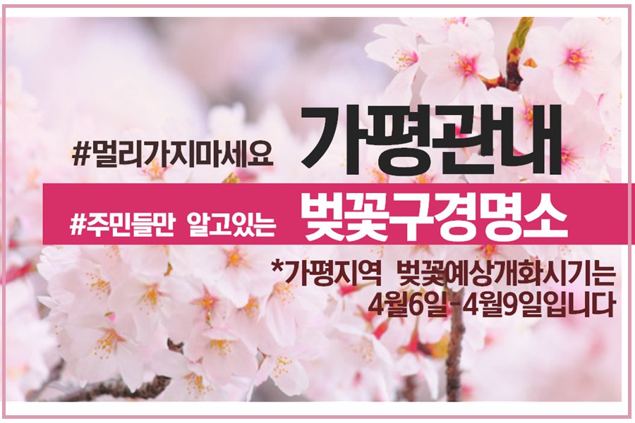 가평관내에서 만날수있는 아름다운 벚꽃구경명소! 함께 구경하실래요?
facebook.com/gapyeongcity/p…