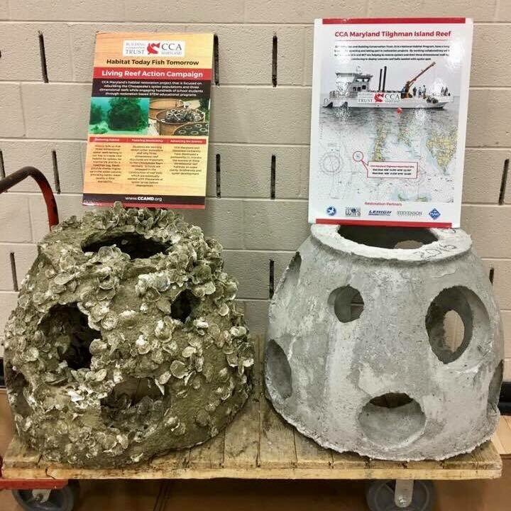 1st generation reef ball technology (left) and second generation (right).Excellent work Reef Ball Foundation! #livingseawall #reefball