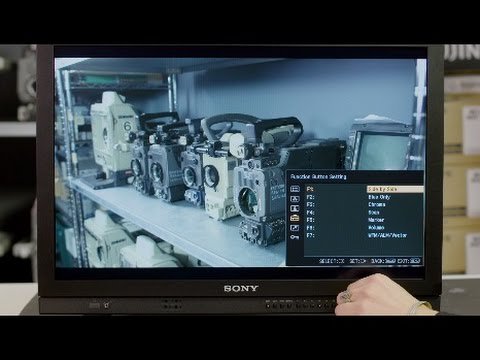 Sony Pro Live tweet media