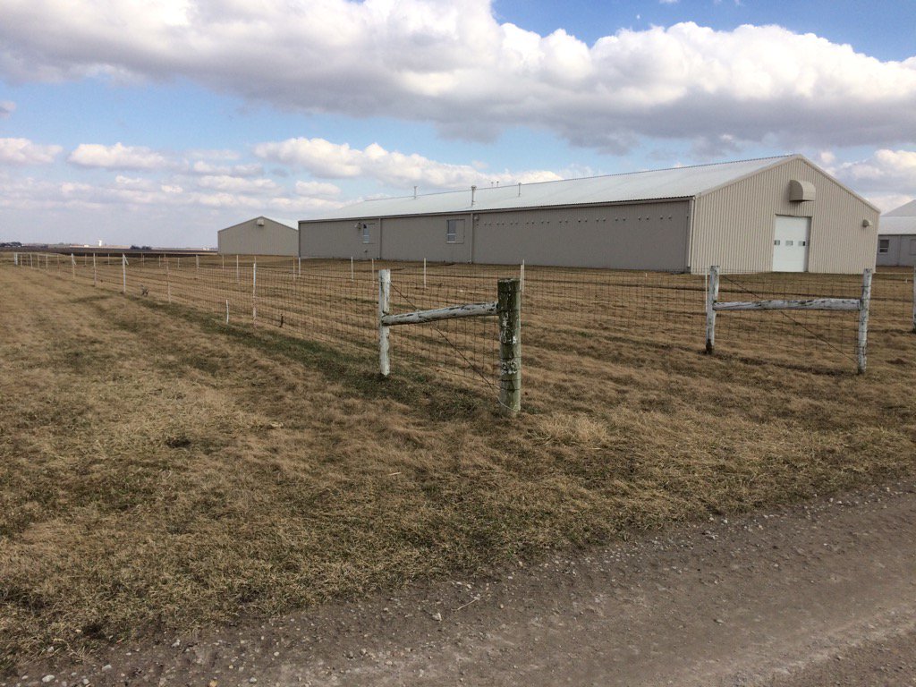 marlaameyers's tweet image. Who else knows what these are for? @iastate_cals #agengineering #agronomy #researchfarm #universityfarmlife