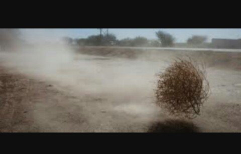 Ver imagen en Twitter Ver imagen en Twitter