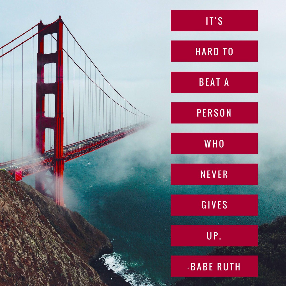 The Detailed Male tweet media