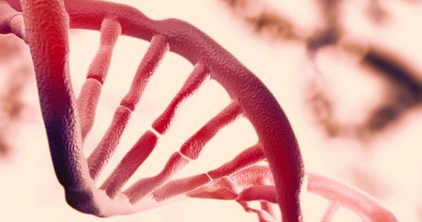 EvanKirstel's tweet photo. Physicists Confirm There's a Second Layer of Information Hidden in Our DNA on @futurism https://t.co/DuYY5pQMPU https://t.co/DDBNFAdnf9