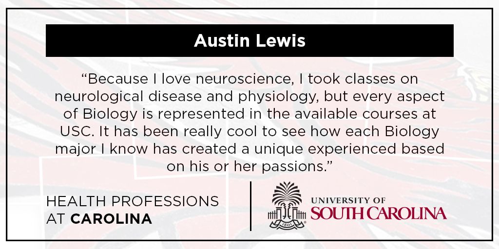UofSCAdmissions's tweet photo. Strong connections at Carolina led him to neuroscience. At #UofSC he’ll be prepared to connect with future patients https://t.co/2V2LEDDrZz https://t.co/j5fHZ46CbD